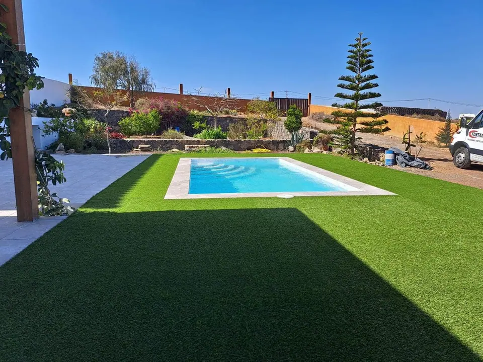 Piscina en jardín con césped y palmera